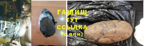 стаф Арсеньев