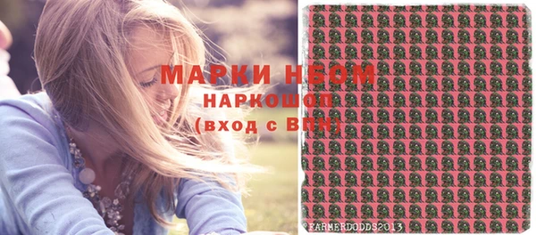 прущие грибы Богданович