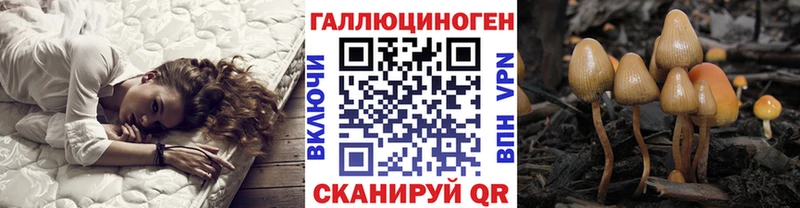 Галлюциногенные грибы Magic Shrooms  Колпашево 